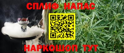 PSILOCYBIN Кунгур