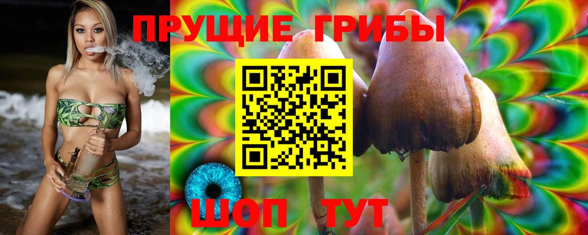 Камень-на-Оби  Галлюциногенные грибы MAGIC MUSHROOMS  Вход с VPN  Псилоцибиновые грибы мицелий 