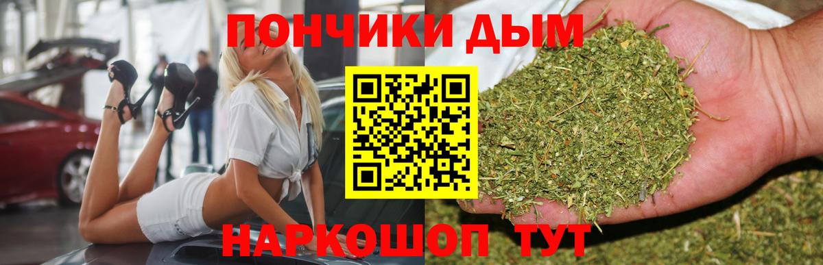 Бошки марихуана конопля Камень-на-Оби